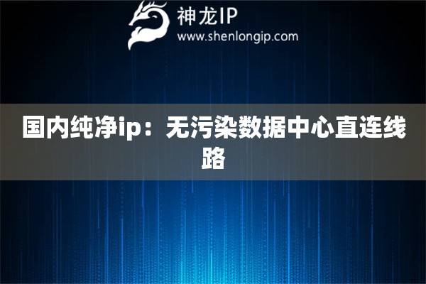 国内纯净ip：无污染数据中心直连线路