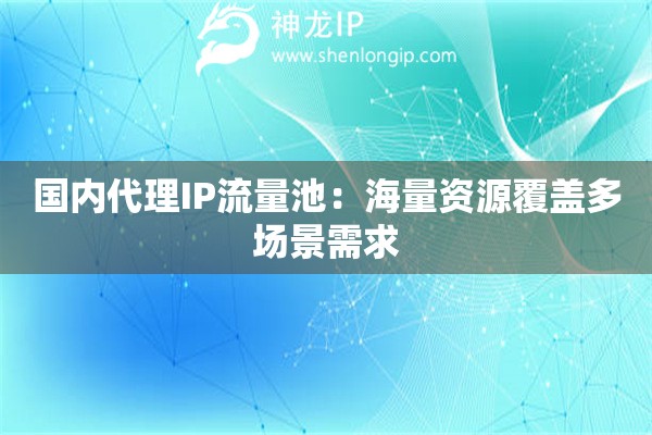 国内代理IP流量池：海量资源覆盖多场景需求