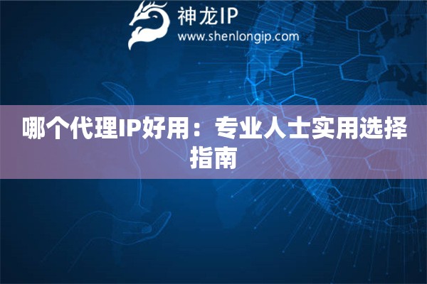 哪个代理IP好用：专业人士实用选择指南