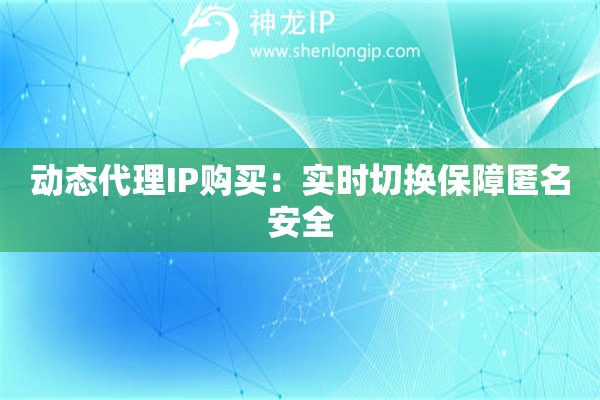 动态代理IP购买：实时切换保障匿名安全
