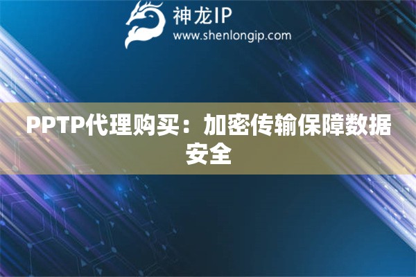 PPTP代理购买：加密传输保障数据安全