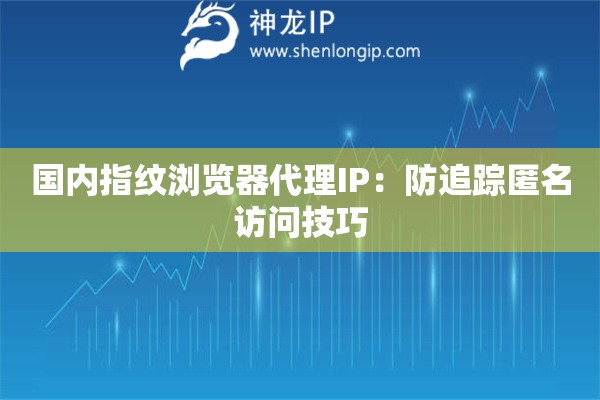 国内指纹浏览器代理IP：防追踪匿名访问技巧