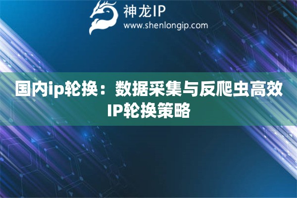 国内ip轮换：数据采集与反爬虫高效IP轮换策略