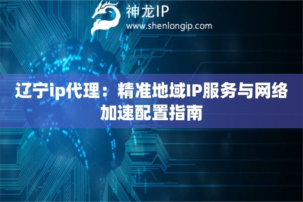 辽宁ip代理：精准地域IP服务与网络加速配置指南