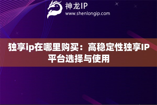 独享ip在哪里购买：高稳定性独享IP平台选择与使用