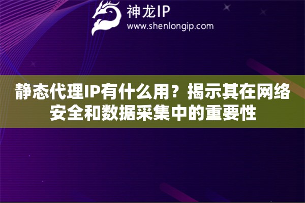 静态代理IP有什么用？揭示其在网络安全和数据采集中的重要性