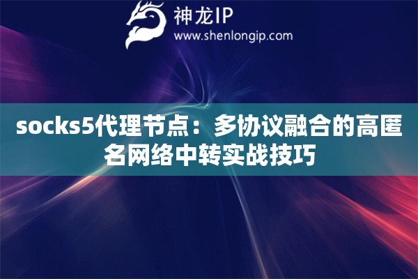 socks5代理节点：多协议融合的高匿名网络中转实战技巧