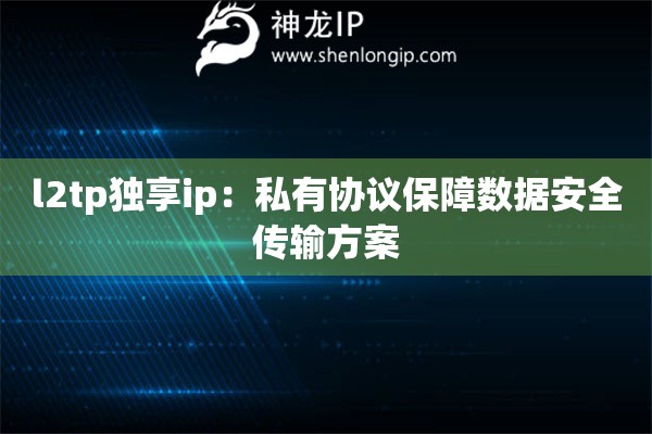 l2tp独享ip：私有协议保障数据安全传输方案