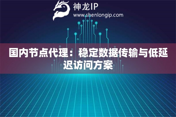 国内节点代理：稳定数据传输与低延迟访问方案