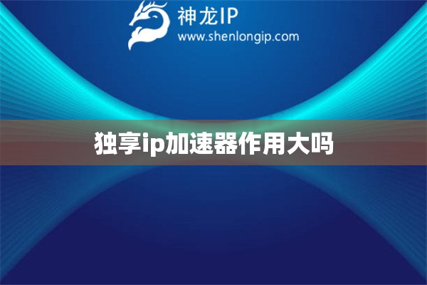 独享ip加速器作用大吗