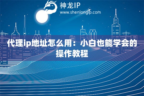 代理ip地址怎么用：小白也能学会的操作教程