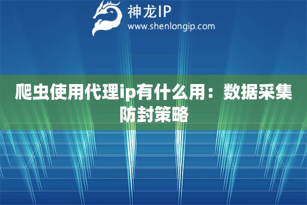 爬虫使用代理ip有什么用：数据采集防封策略