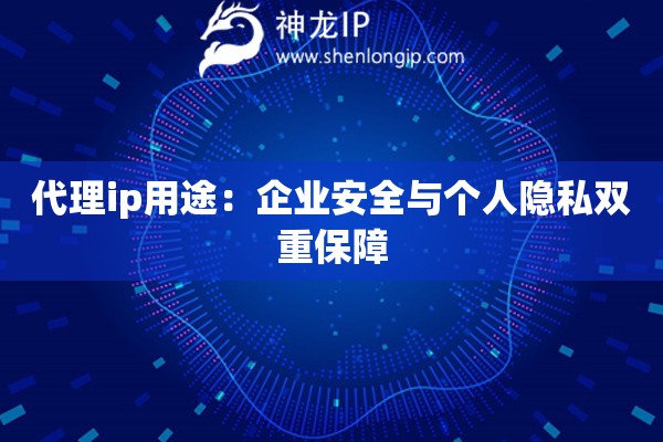 代理ip用途：企业安全与个人隐私双重保障
