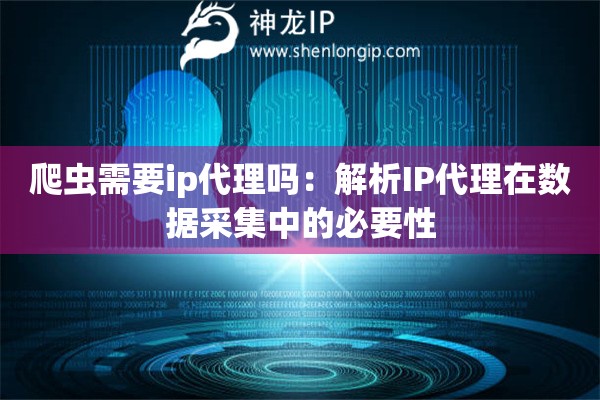 爬虫需要ip代理吗：解析IP代理在数据采集中的必要性