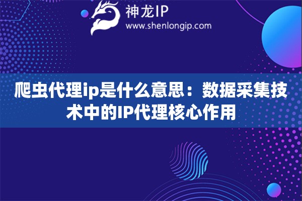 爬虫代理ip是什么意思：数据采集技术中的IP代理核心作用