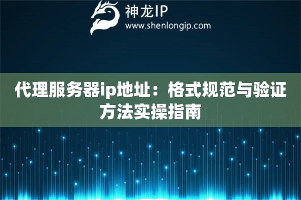 代理服务器ip地址：格式规范与验证方法实操指南