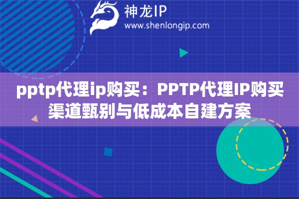 pptp代理ip购买：PPTP代理IP购买渠道甄别与低成本自建方案