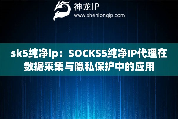 sk5纯净ip：SOCKS5纯净IP代理在数据采集与隐私保护中的应用