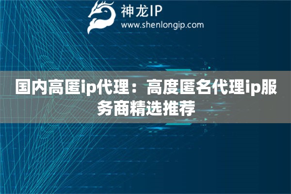 国内高匿ip代理：高度匿名代理ip服务商精选推荐