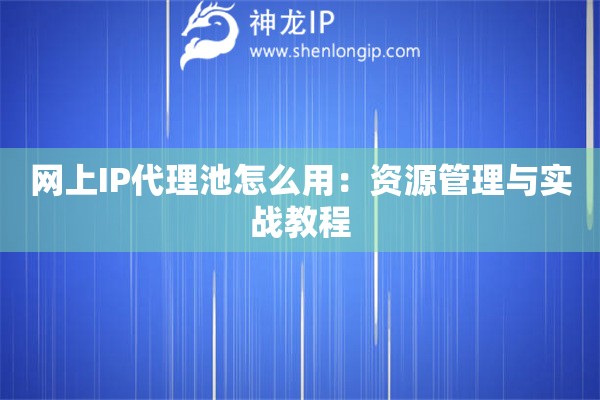 网上IP代理池怎么用：资源管理与实战教程