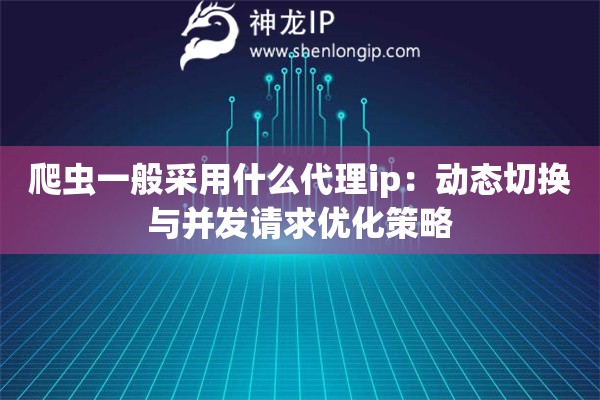 爬虫一般采用什么代理ip：动态切换与并发请求优化策略