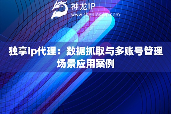 独享ip代理：数据抓取与多账号管理场景应用案例
