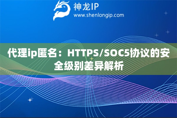 代理ip匿名：HTTPS/SOC5协议的安全级别差异解析