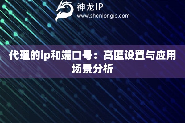 代理的ip和端口号：高匿设置与应用场景分析