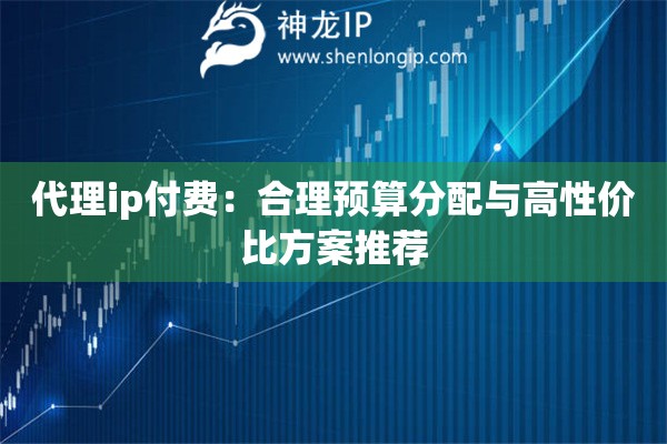 代理ip付费：合理预算分配与高性价比方案推荐