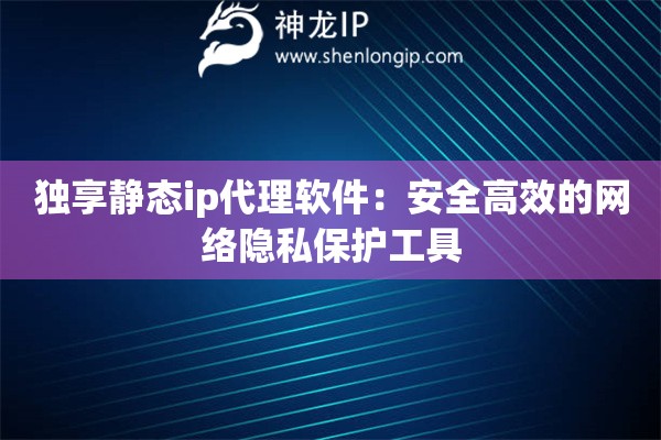 独享静态ip代理软件：安全高效的网络隐私保护工具
