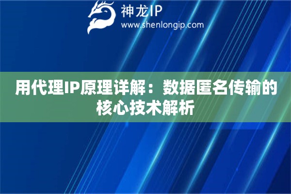 用代理IP原理详解：数据匿名传输的核心技术解析