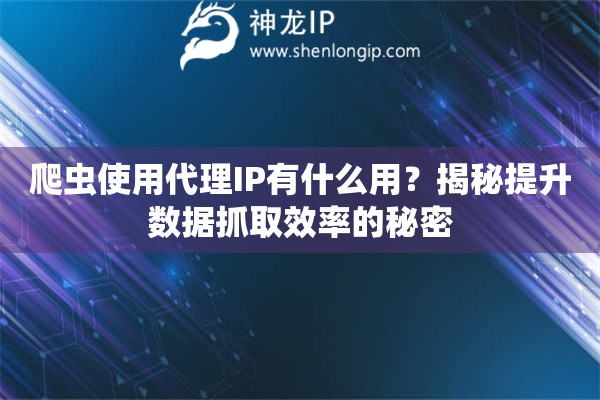 爬虫使用代理IP有什么用？揭秘提升数据抓取效率的秘密
