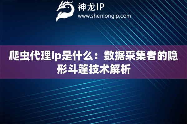 爬虫代理ip是什么：数据采集者的隐形斗篷技术解析