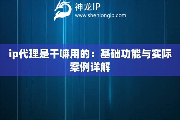 ip代理是干嘛用的：基础功能与实际案例详解