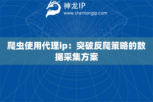 爬虫使用代理ip：突破反爬策略的数据采集方案