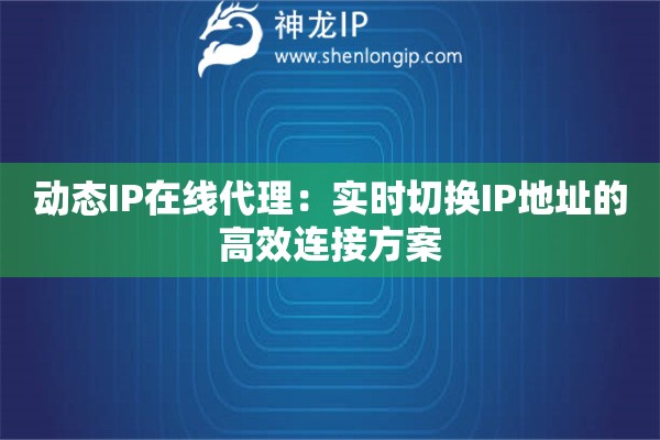 动态IP在线代理：实时切换IP地址的高效连接方案