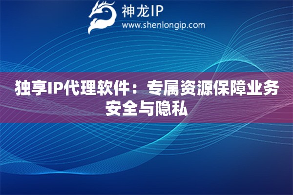 独享IP代理软件：专属资源保障业务安全与隐私