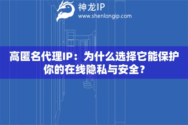 高匿名代理IP：为什么选择它能保护你的在线隐私与安全？