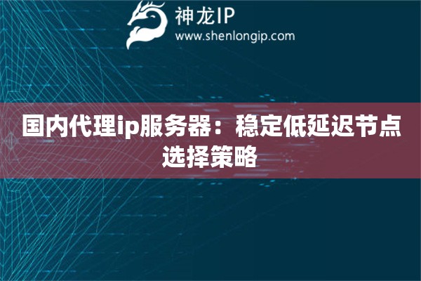 国内代理ip服务器：稳定低延迟节点选择策略