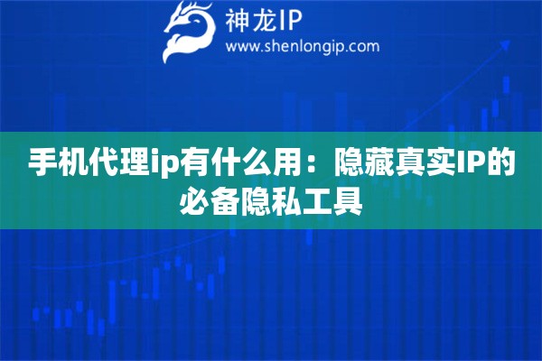 手机代理ip有什么用：隐藏真实IP的必备隐私工具