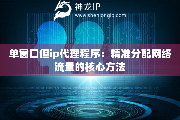 单窗口但ip代理程序：精准分配网络流量的核心方法