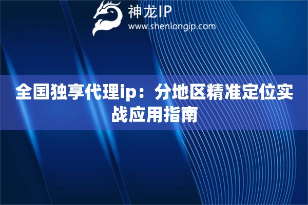 全国独享代理ip：分地区精准定位实战应用指南