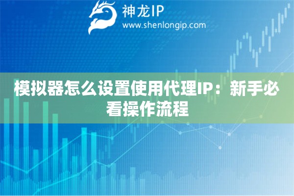模拟器怎么设置使用代理IP：新手必看操作流程