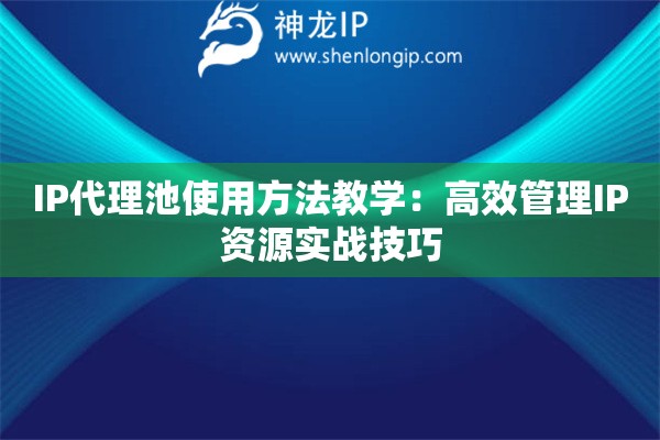 IP代理池使用方法教学：高效管理IP资源实战技巧