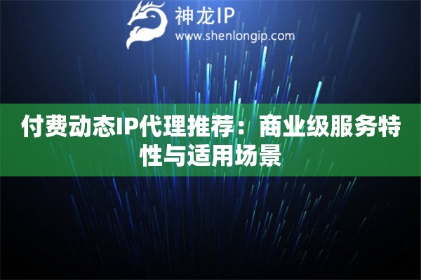付费动态IP代理推荐：商业级服务特性与适用场景