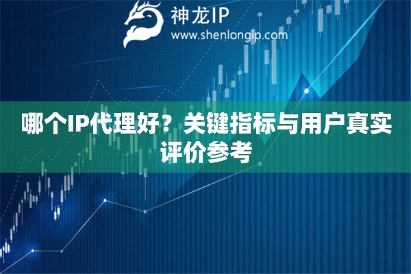 哪个IP代理好？关键指标与用户真实评价参考