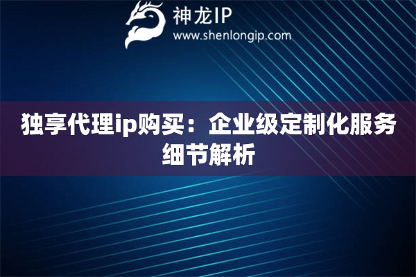 独享代理ip购买：企业级定制化服务细节解析