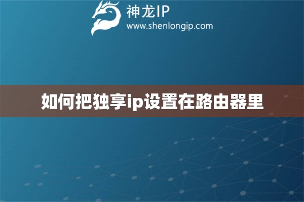 如何把独享ip设置在路由器里