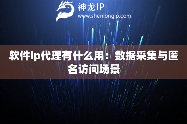 软件ip代理有什么用：数据采集与匿名访问场景