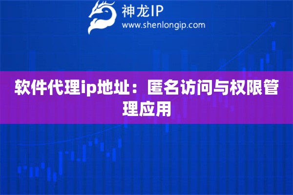 软件代理ip地址：匿名访问与权限管理应用